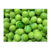 IQF congelado guisantes verdes en alta calidad
